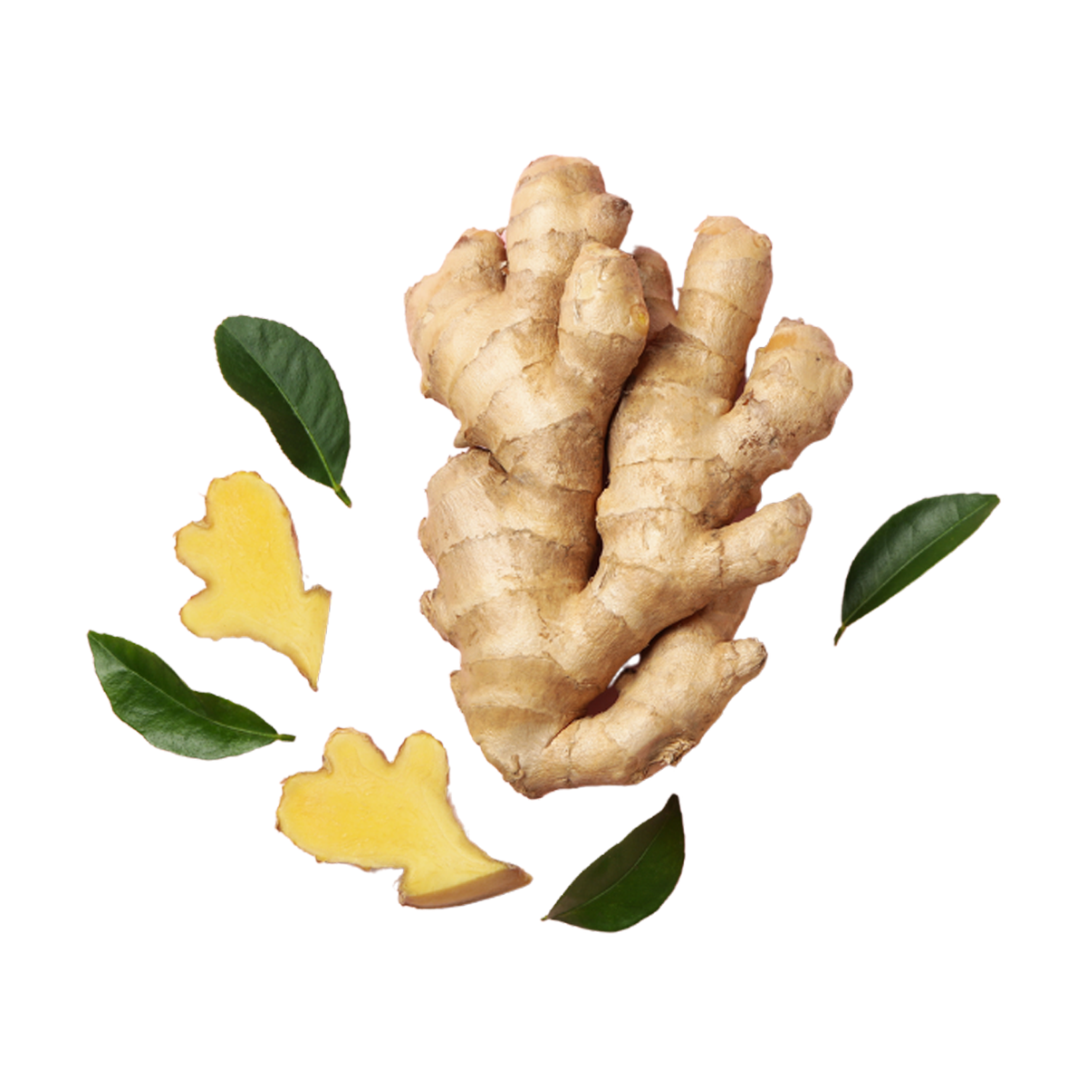 Ginger