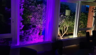 tanzschule sandmann beleuchtung