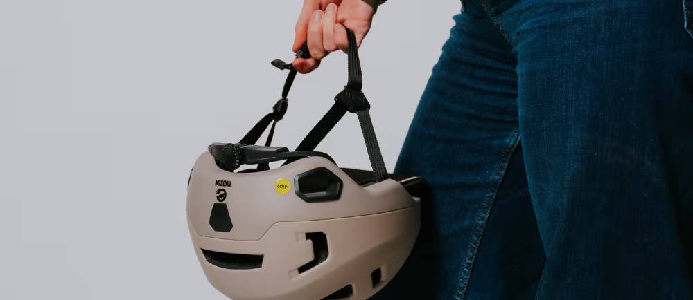 Cargo electric bike and family