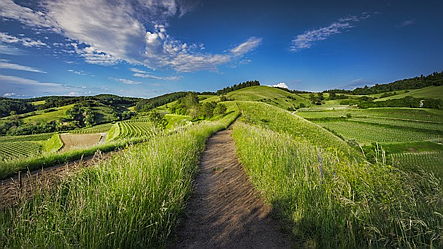  Varese
- countryside-1868781_640.jpg