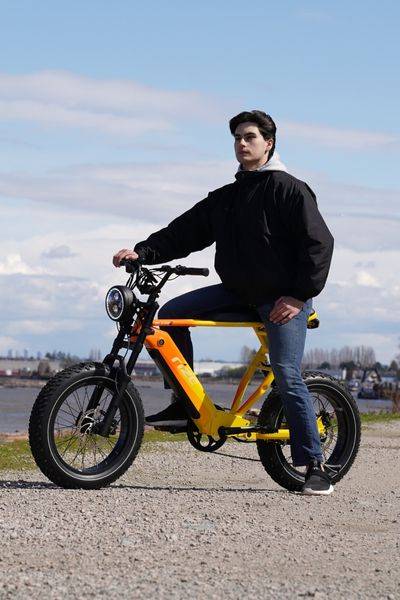 Retro ebikes