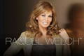 Top Wig Brand - Raquel Welch