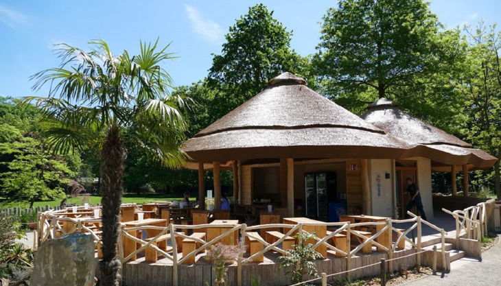 zoo krefeld erdmaennchen lodge