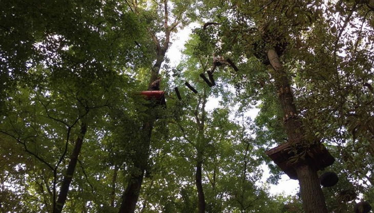 treetree hohe wackelbrücke
