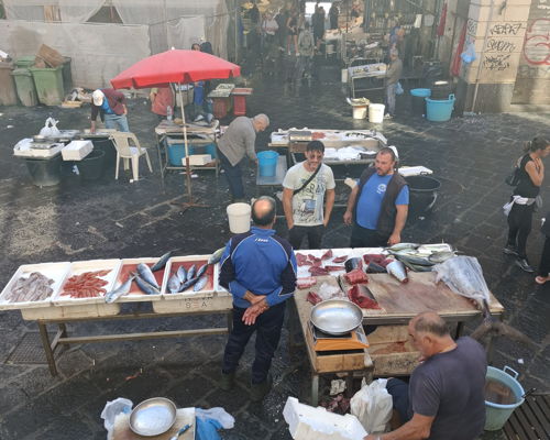 Food & Wine Tours Catania: Catania fish market tour: a unique experience