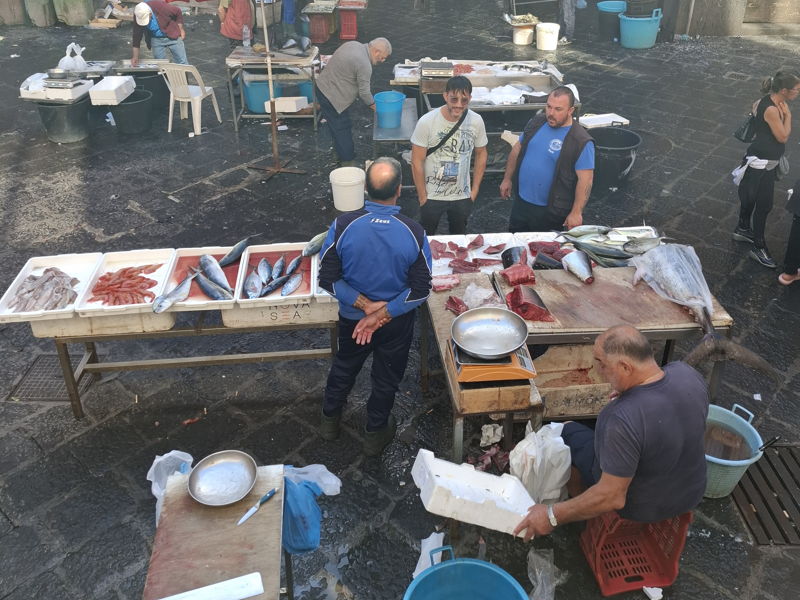 Food & Wine Tours Catania: Catania fish market tour: a unique experience