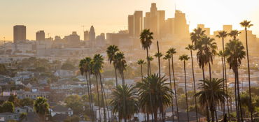 Los Angeles Guided Motorcycle City Tour near Los Angeles, CA