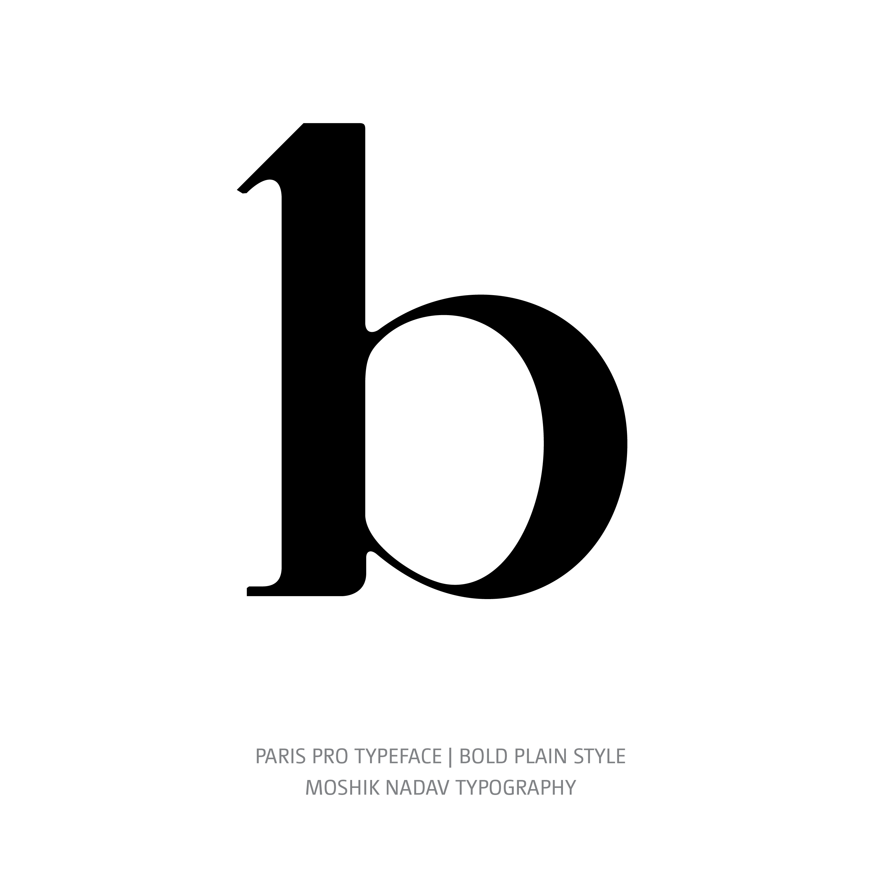 Paris Pro Typeface Bold Plain b
