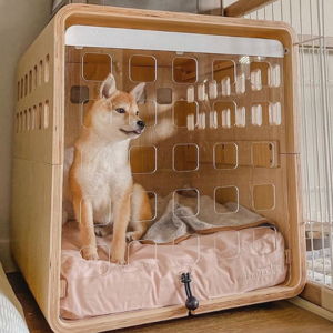 Mac's Crate + Bed