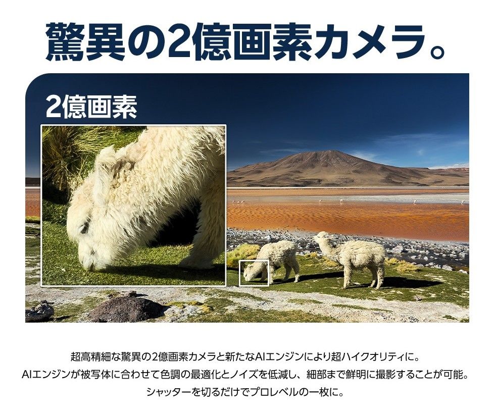 驚異の2億画素カメラ