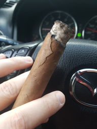 Cigar Session Photo