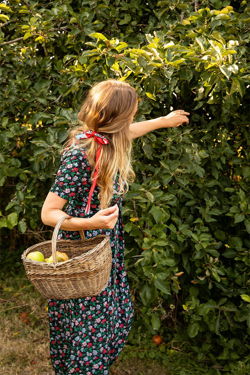 Tess Newall picks apples from her garden in YOLKE's Juniper Dress