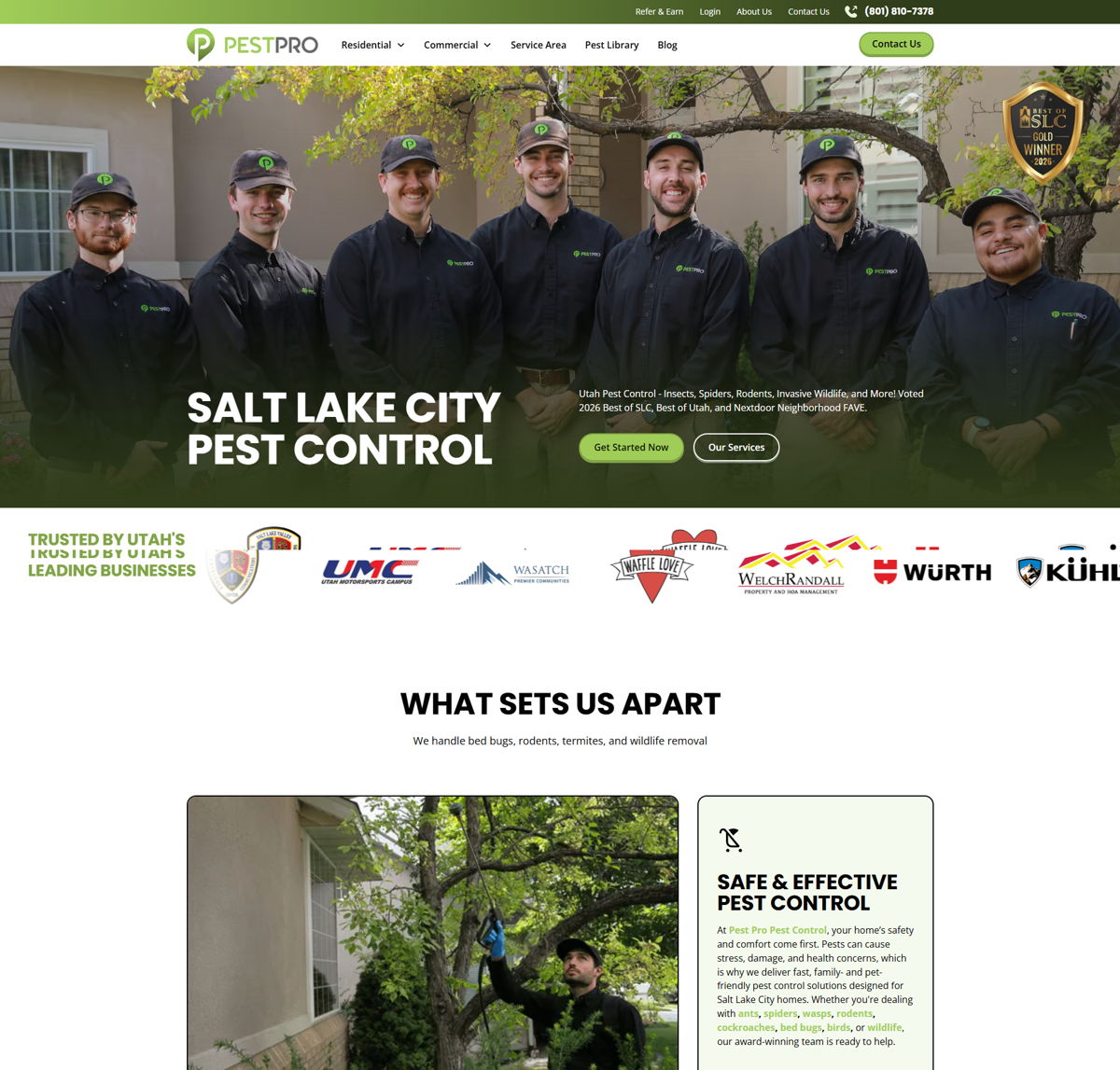Screenshot of Pest Pro Pest Control, from the pest control websites collection.