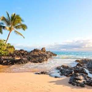 Maui Honeymoon Fund