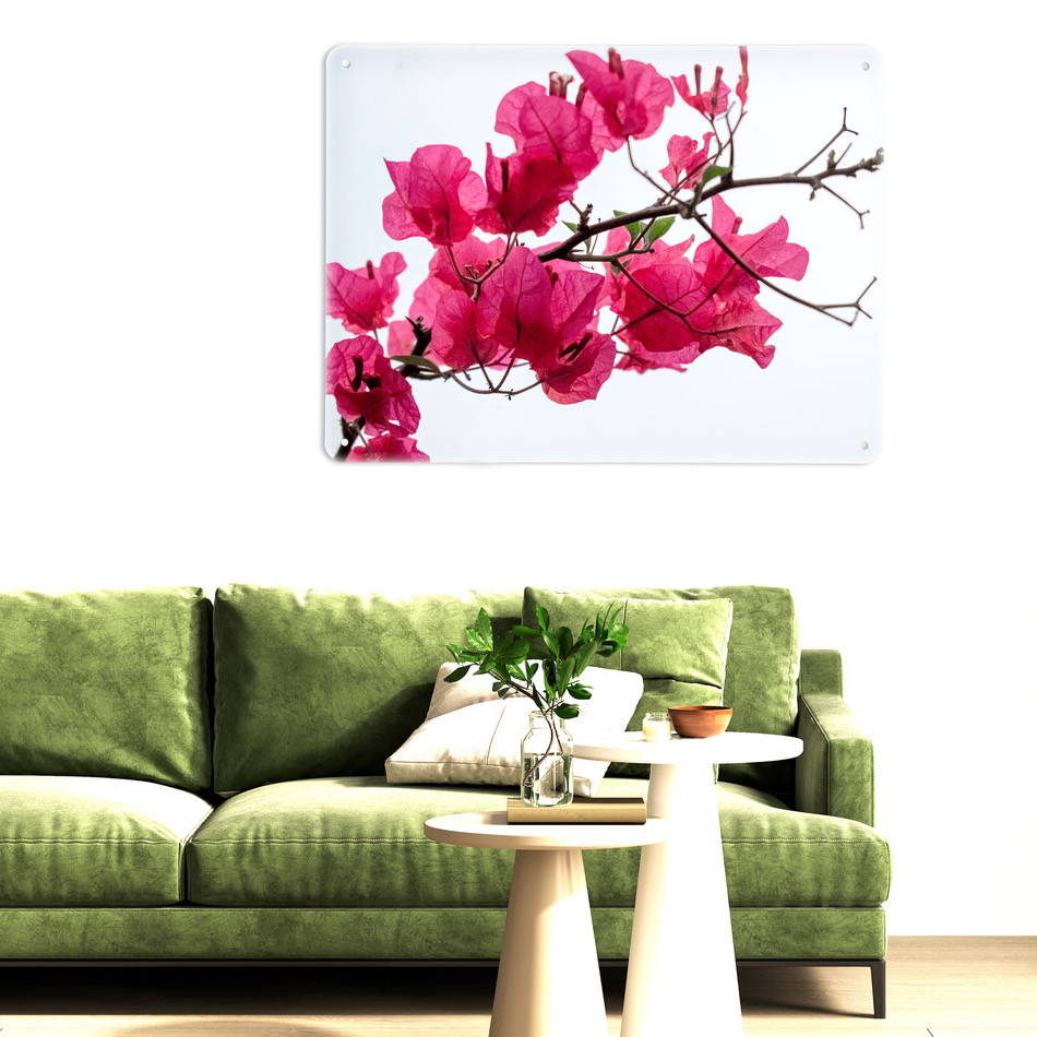 An interior with a green velvet sofa and white coffee table with a photographic magnetic board showing pink bougainvillea
