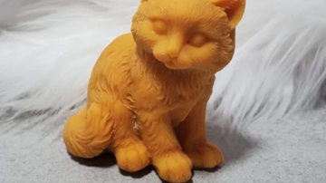 Main Content Image