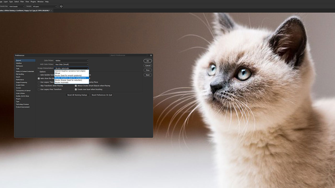 Interpolation methods in Photoshop