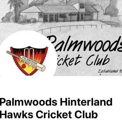 Palmwoods cricket club Logo