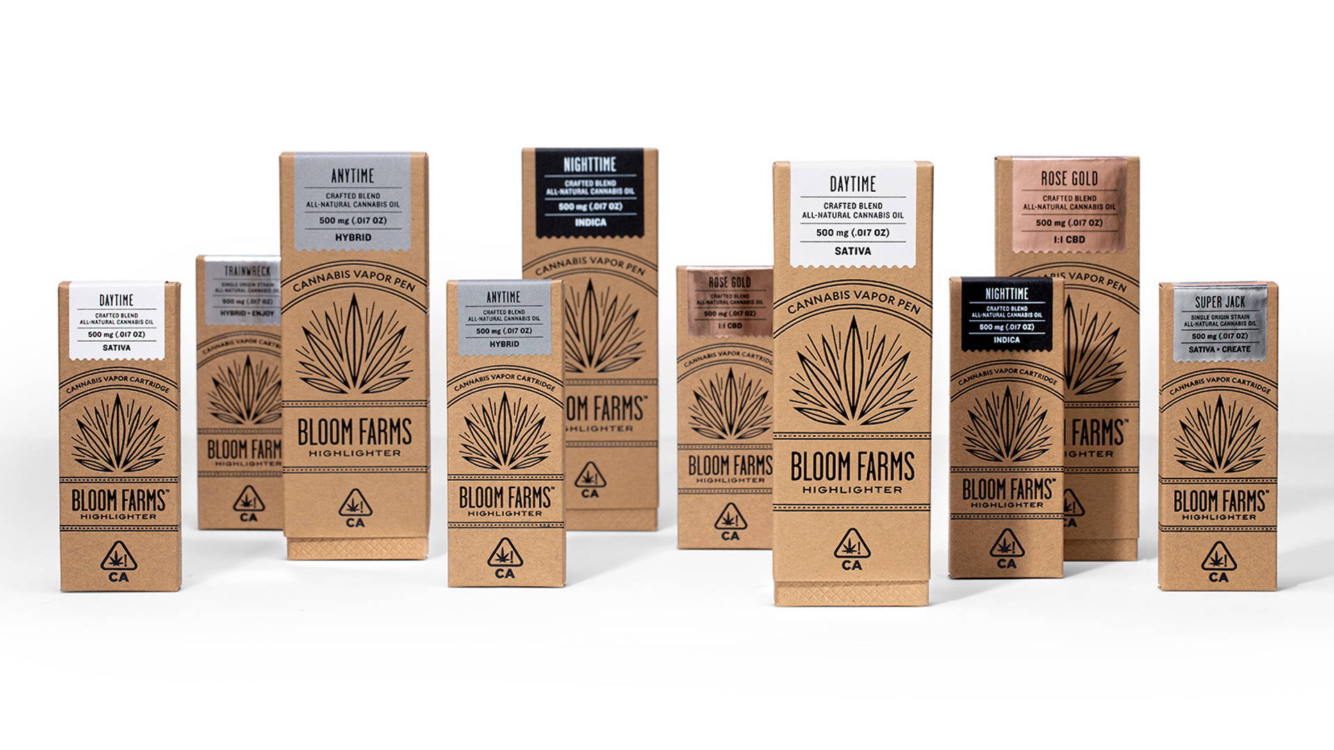 Featured image for Pavement Refreshes Cannabis Brand Bloom Farms For A Unified Visual Identity
