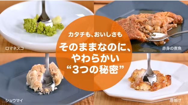レンタル] デリソフター DS-1C（炊飯器・電気圧力鍋・やわらか食