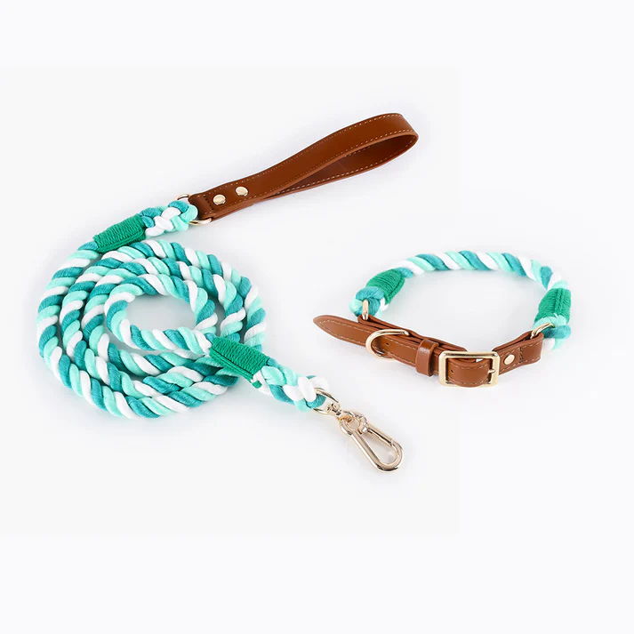 Double Green Premium Leather Pet Collar and Leash - Soft, Strong Braided Rope
