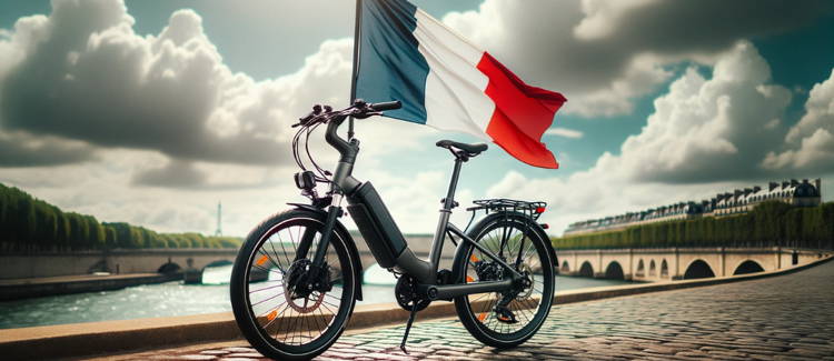 Folding electric bike manufacturers sale