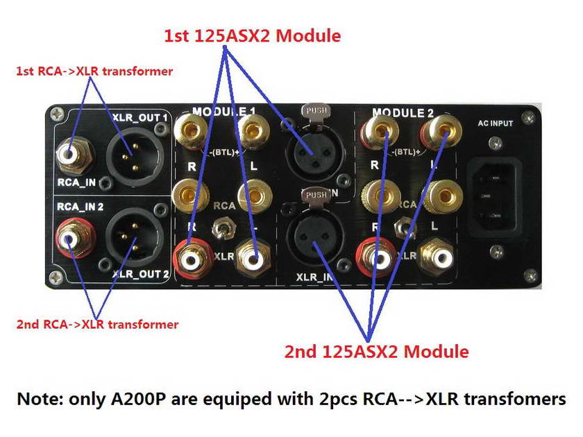 ICEpower 125ASX2 DIY-Kit & Assembled Mono block 550w amplifier Free Shipping