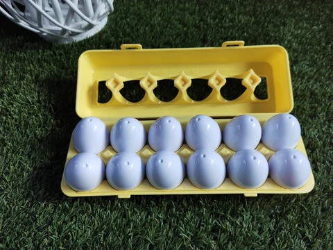 Closed Montessori Geometric Eggs placed in a carton on the grass.