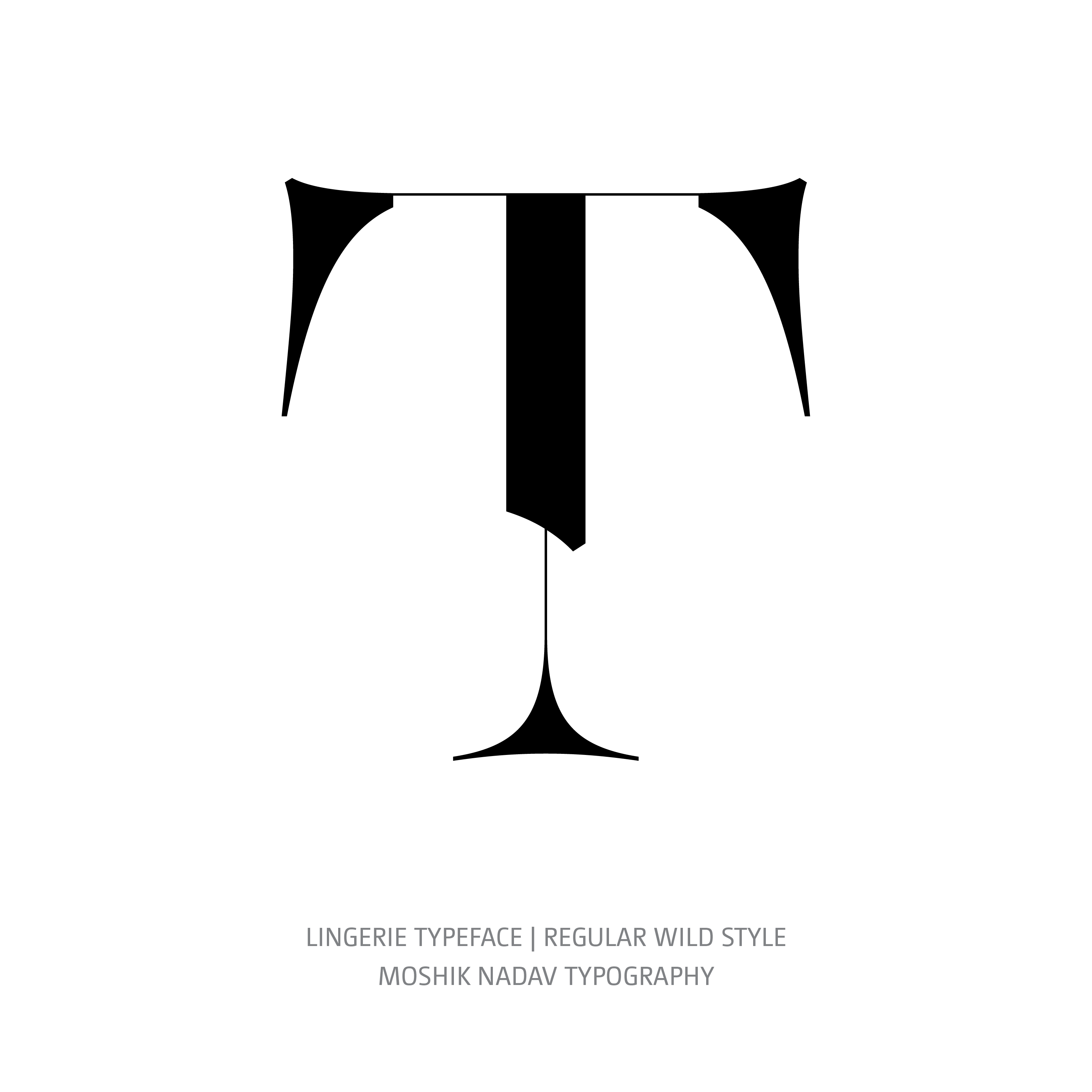 Lingerie Typeface Regular Plain T