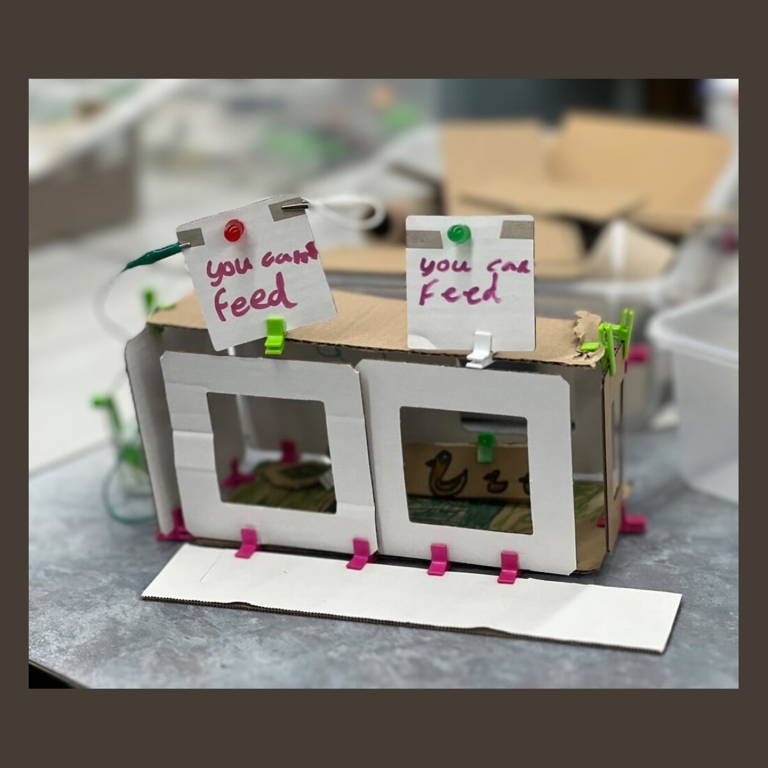 photo of zoo project  - cardboard model of a zoo structure with labels