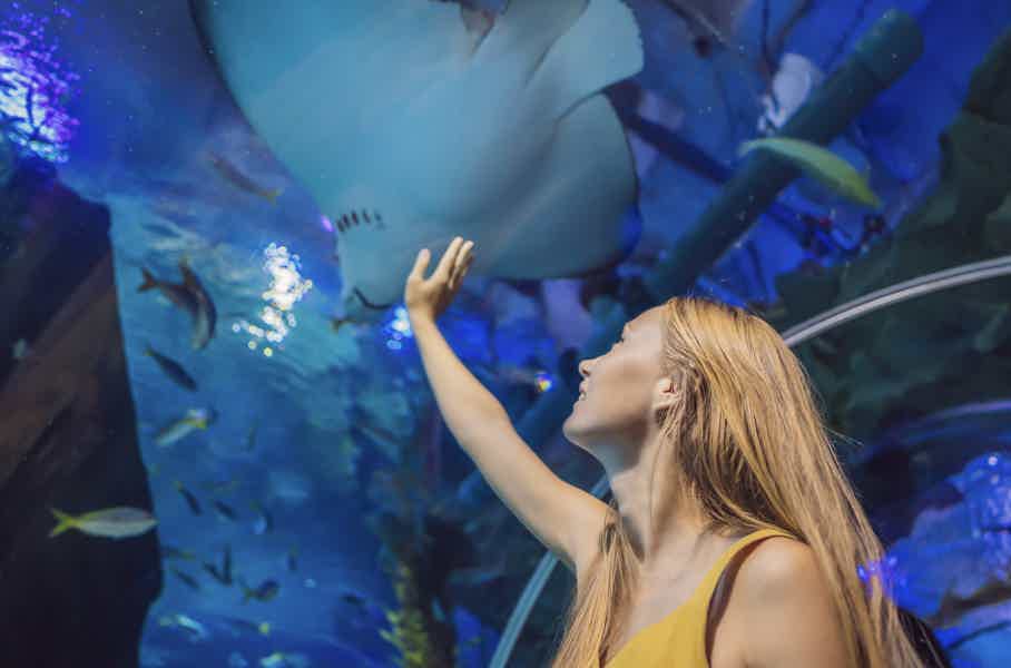Barcelona Aquarium Skip the Line Ticket - photo 5