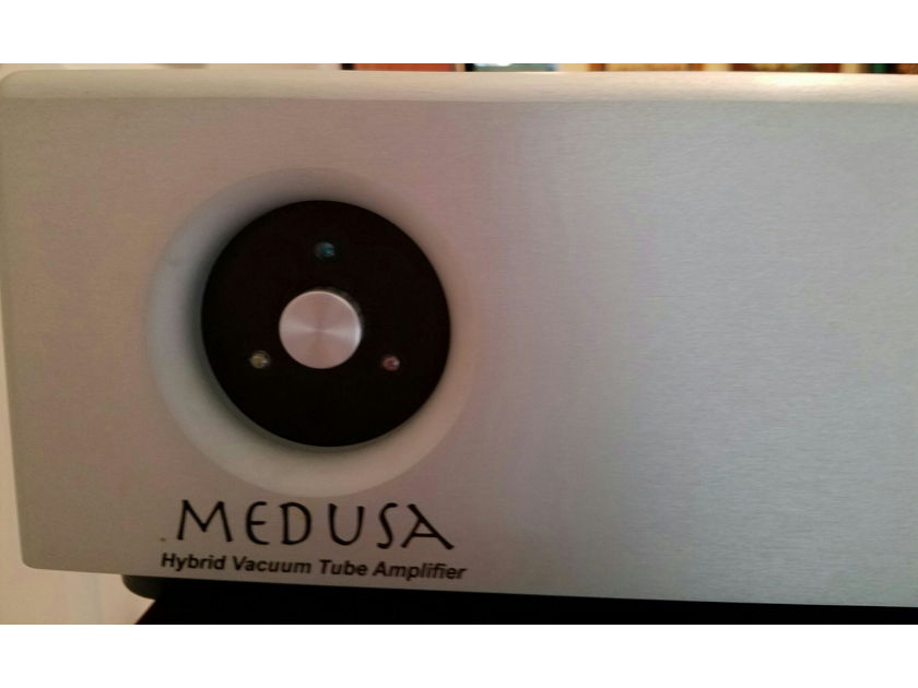 Rogue Audio Medusa 200 WPC tube hybrid amplifier