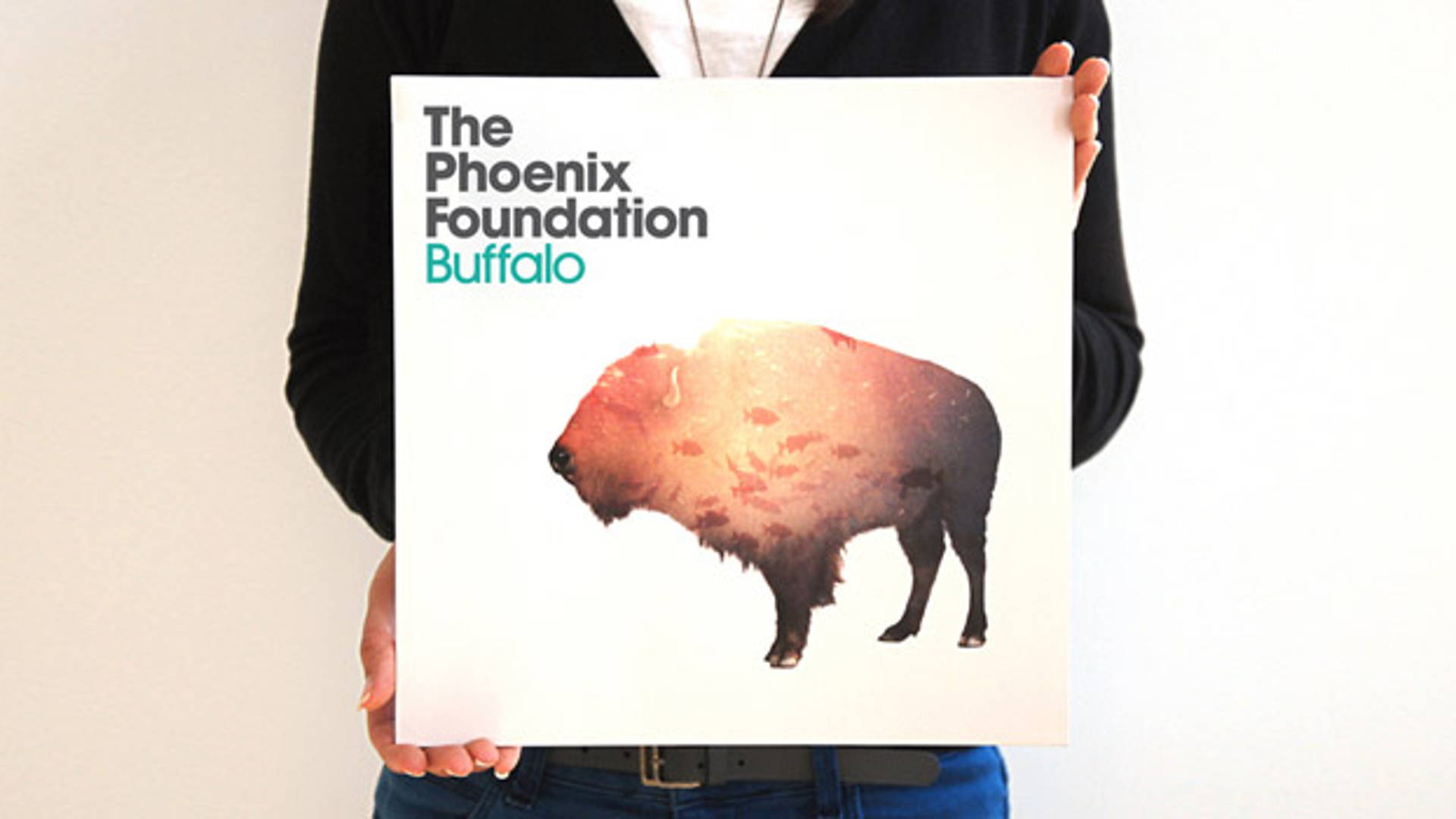 Featured image for The Phoenix Foundation - Buffalo