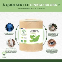 Ginkgo Biloba bio - 200