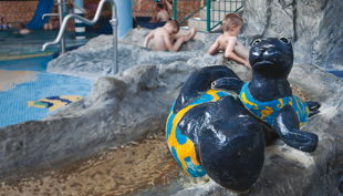 bg wonnemar wismar kkinderbecken seehund