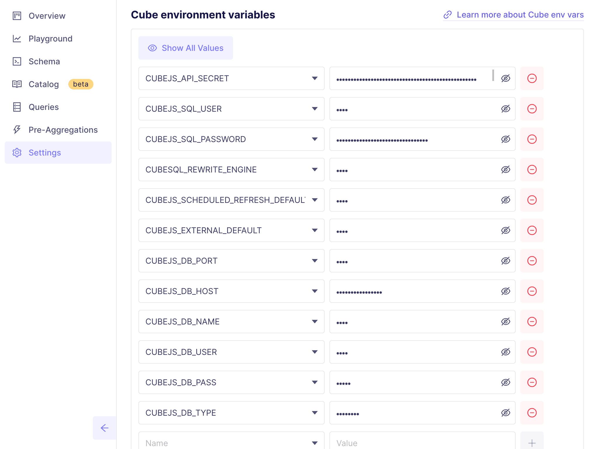 Cube Cloud Environment Variables Screen