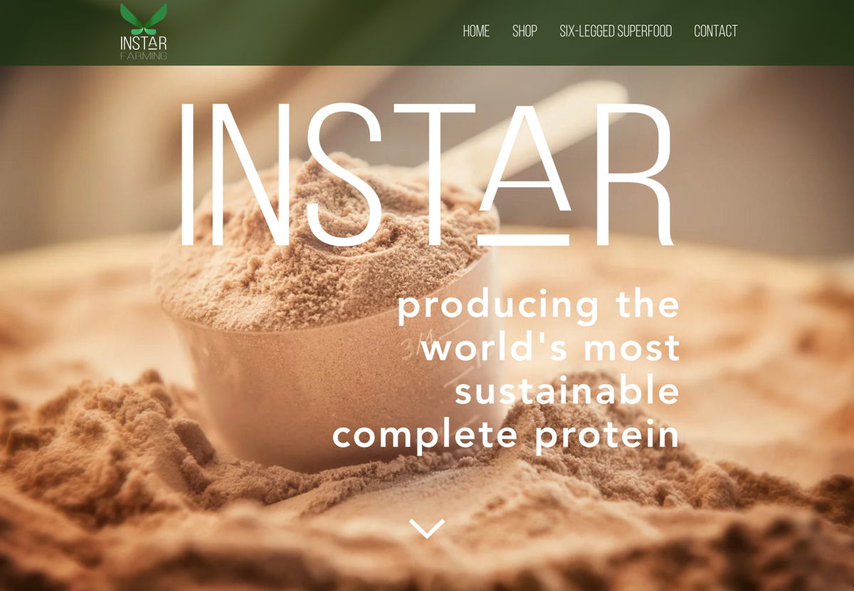 Screenshot of Instar Farming, from the wix websites collection.