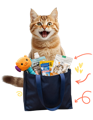Cat happily receiving cat supplies from subscription at Incredible Pets