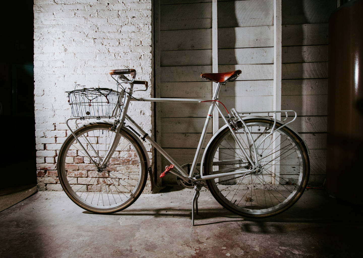 mountain bike elettrica