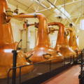  Salle de distillation avec les alambics en cuivre Pot Stills de la distillerie Highland Park dans l'archipel des Orcades Orkney d'Ecosse