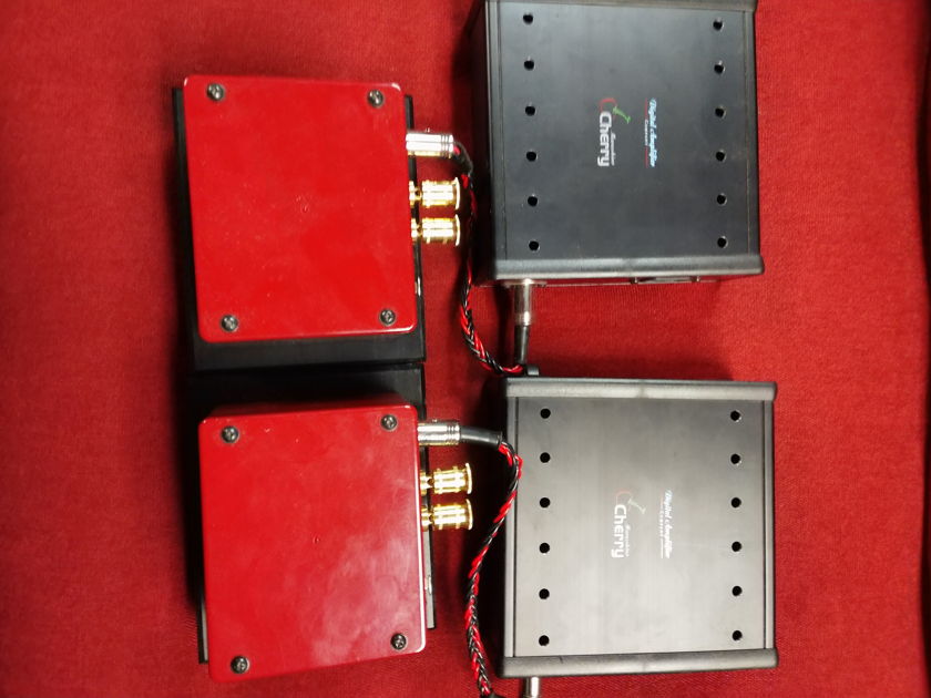 Digital Amplifier Company Marachino Cherry King Mono Blocks Upgraded Power Supply