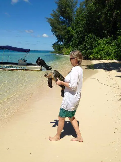 Turtle Conservation Retreat - South Pacific