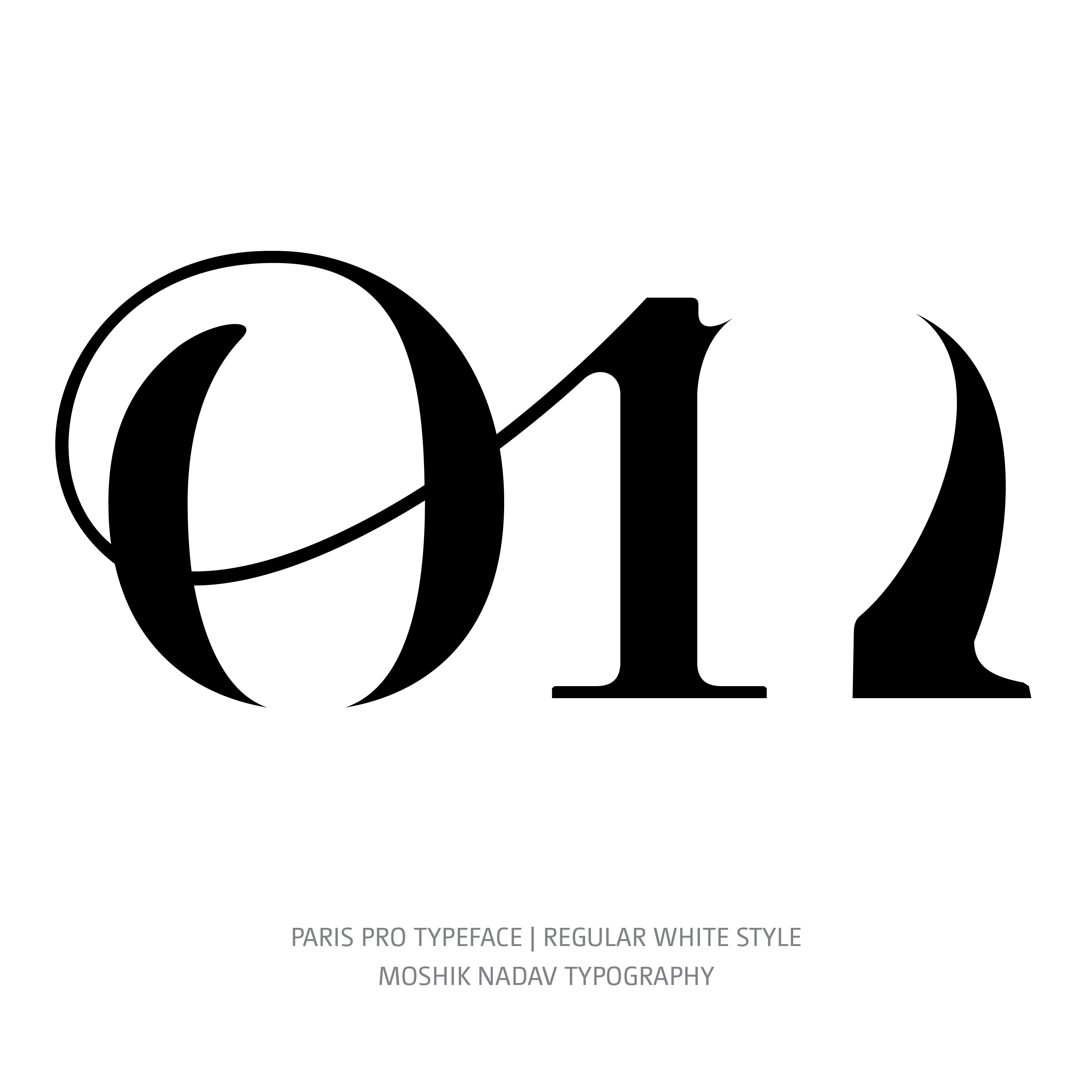 Paris Pro Typeface Regular White on ligature