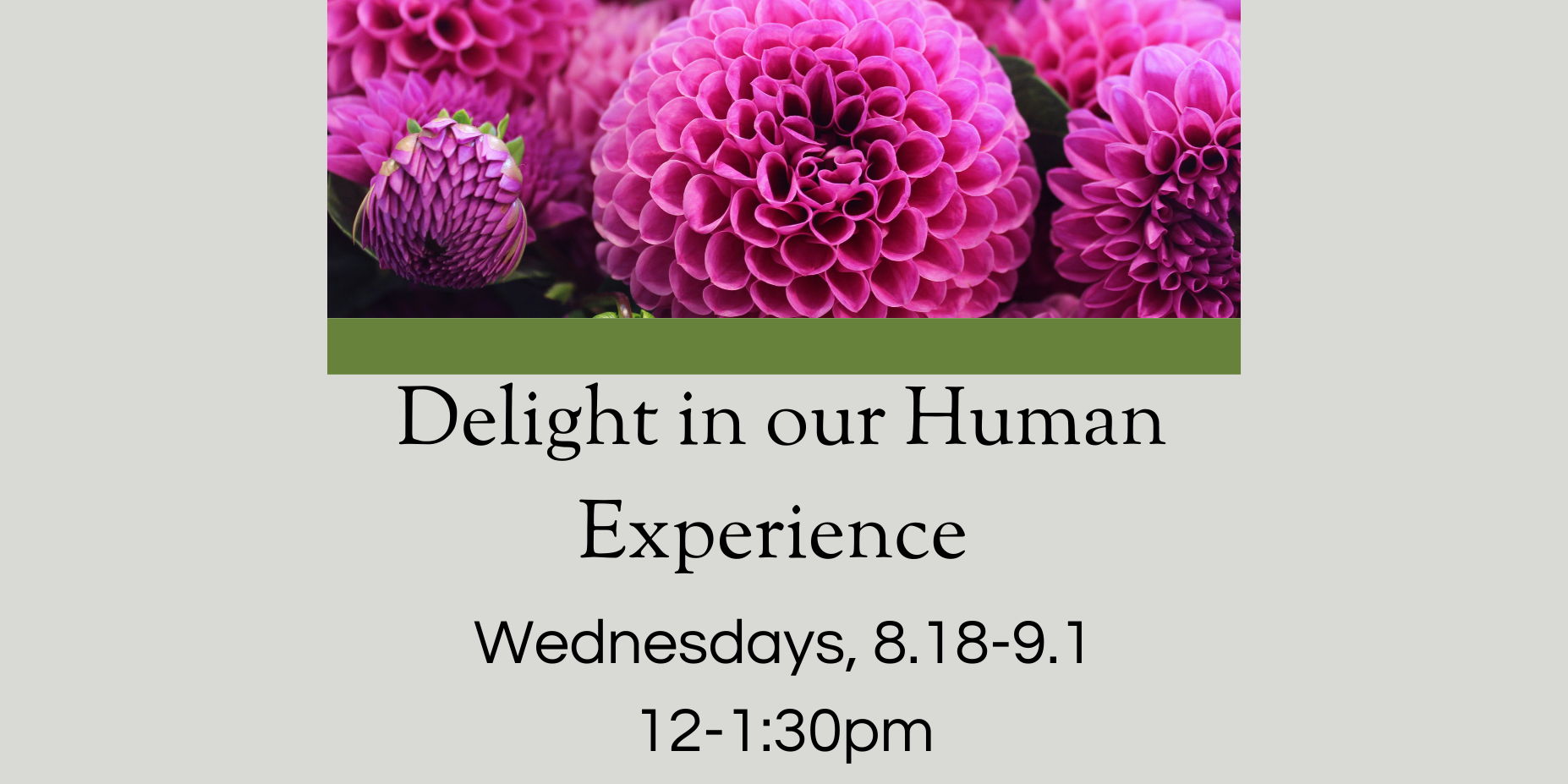 Delight & Our Human Experience promotional image