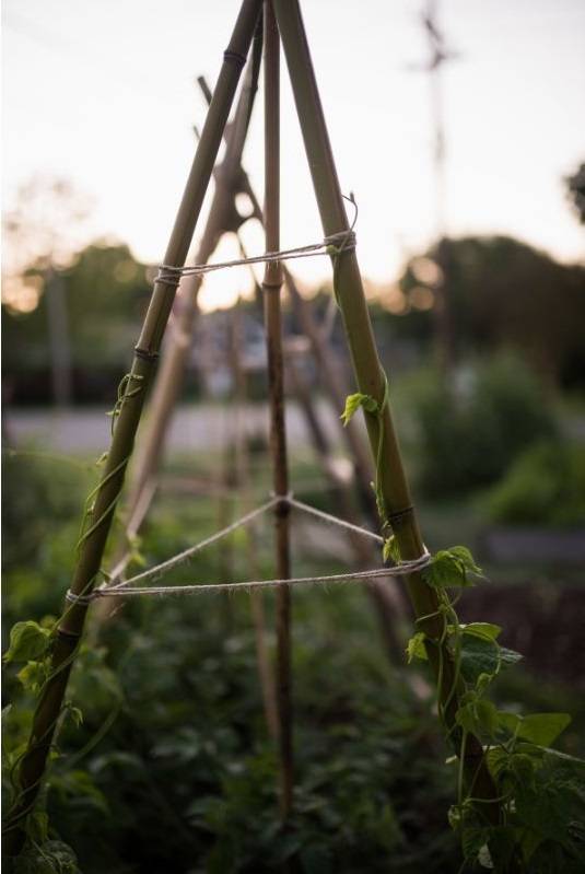 biodegradable gardening twine