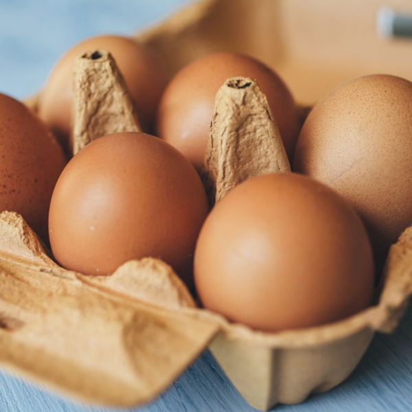 oeuf-suisse-frais
