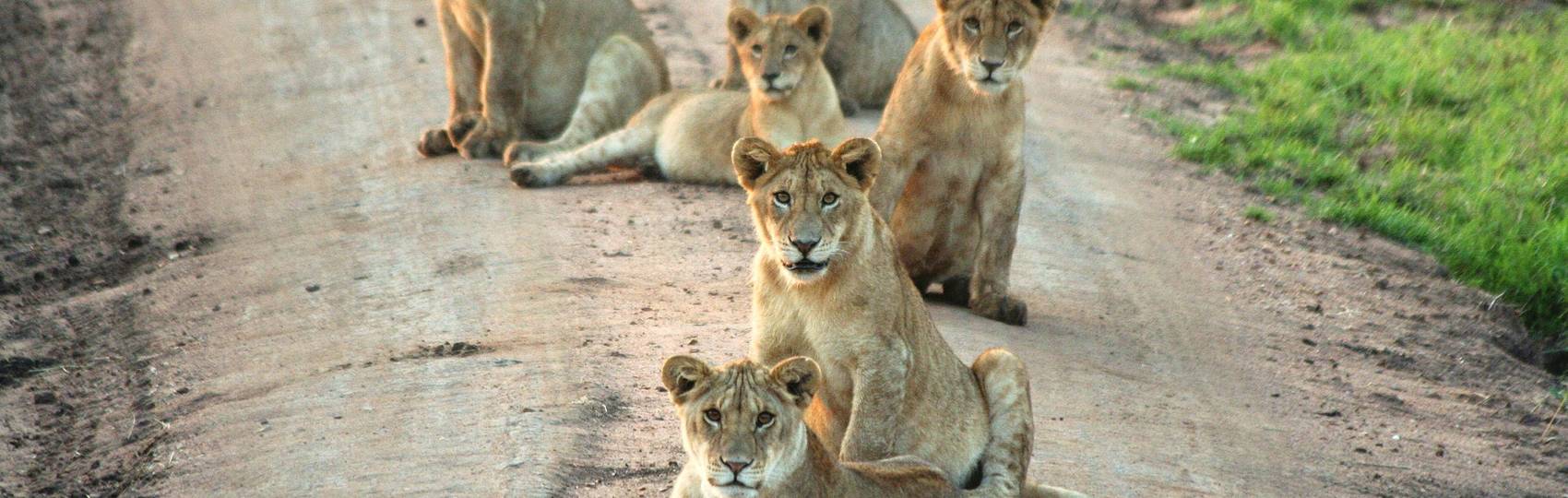 NAIROBI to VICTORIA FALLS (34 days) Savanna Dawn