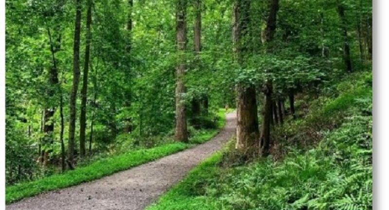 Senior Hike at Rockwood Hall 