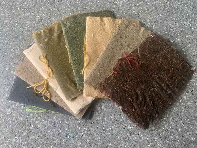 Wild Plant Paper CIC