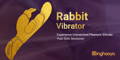 rabbit vibrator